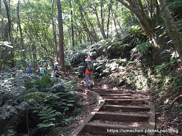 IMG_20191110_111848.jpg IMG_20191110_111848.jpg