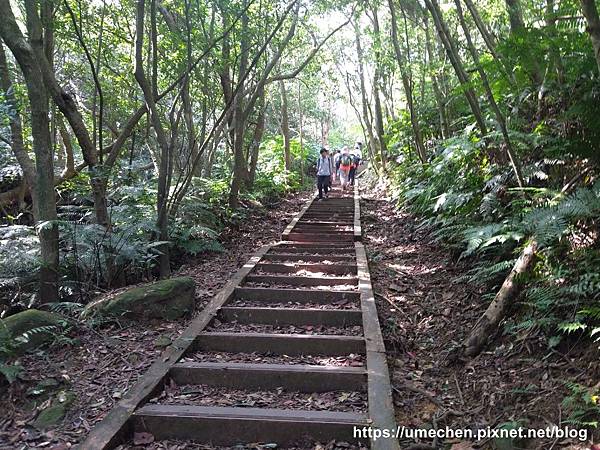 IMG_20191110_111926.jpg IMG_20191110_111926.jpg