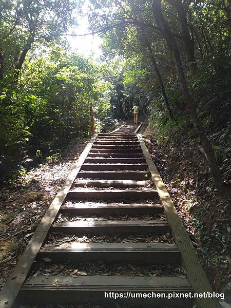 IMG_20191110_112731.jpg IMG_20191110_112731.jpg