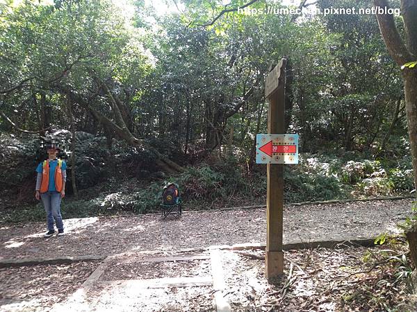 IMG_20191110_113514.jpg IMG_20191110_113514.jpg