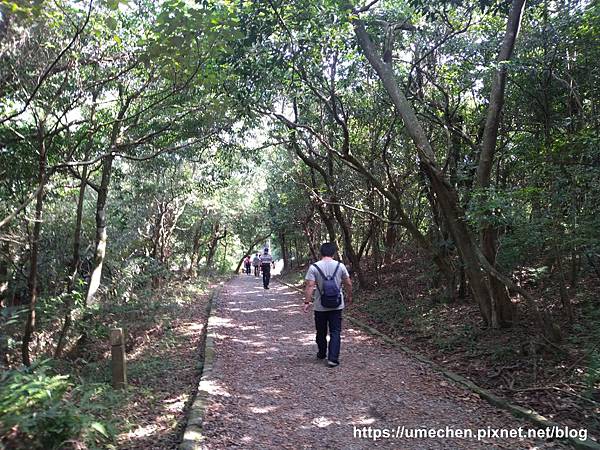 IMG_20191110_113543.jpg IMG_20191110_113543.jpg