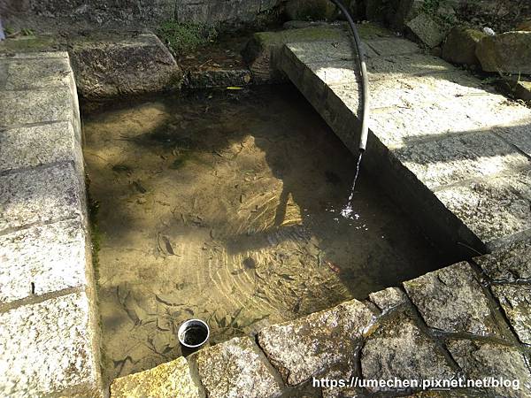 IMG_20191110_120001.jpg IMG_20191110_120001.jpg