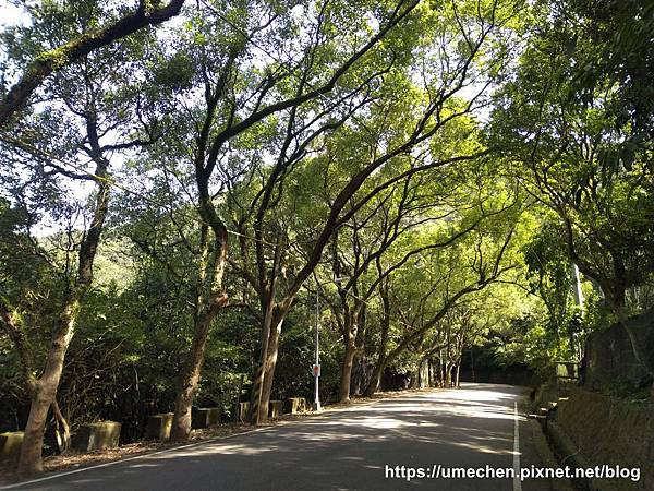 IMG_20191110_120441.jpg IMG_20191110_120441.jpg