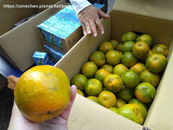 IMG_20191110_121154.jpg IMG_20191110_121154.jpg