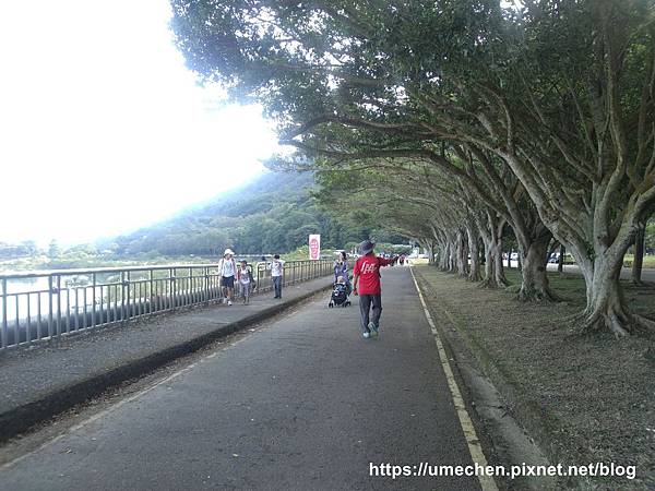 IMG_20191102_075717.jpg IMG_20191102_075717.jpg