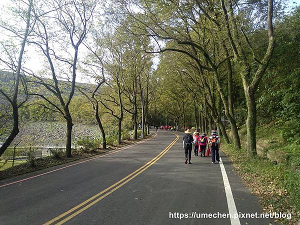 IMG_20191102_083918.jpg IMG_20191102_083918.jpg