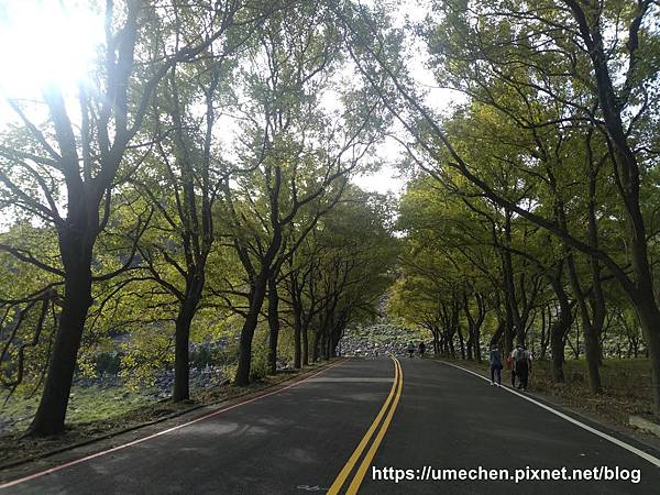 IMG_20191102_084152.jpg IMG_20191102_084152.jpg