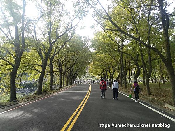 IMG_20191102_084153.jpg IMG_20191102_084153.jpg