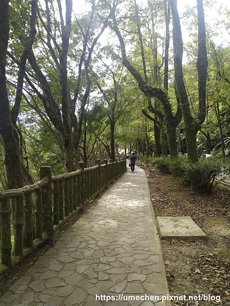 IMG_20191102_092551.jpg IMG_20191102_092551.jpg