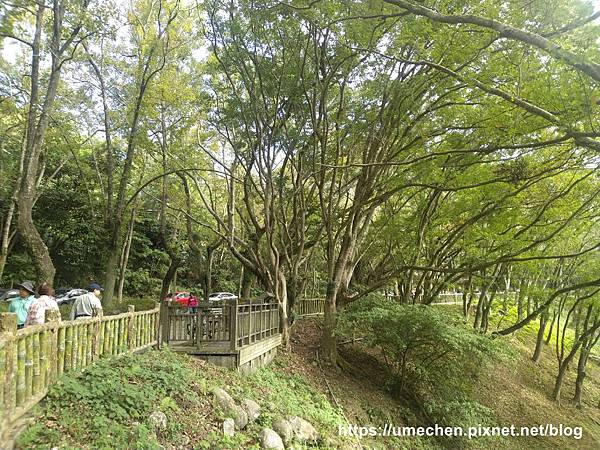 IMG_20191102_092342.jpg IMG_20191102_092342.jpg