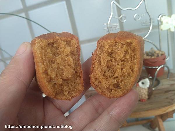 IMG_20200322_083610.jpg IMG_20200322_083610.jpg