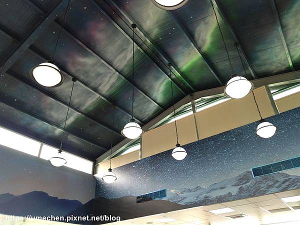 IMG_20200403_110242.jpg IMG_20200403_110242.jpg