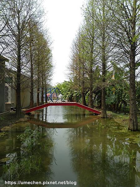 IMG_20200403_110810.jpg IMG_20200403_110810.jpg