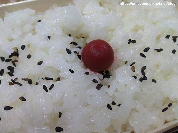 IMG_20200813_131239.jpg IMG_20200813_131239.jpg