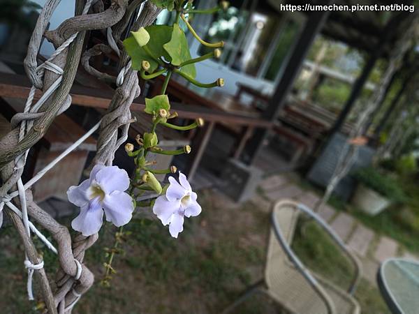 IMG_20191216_155156.jpg IMG_20191216_155156.jpg