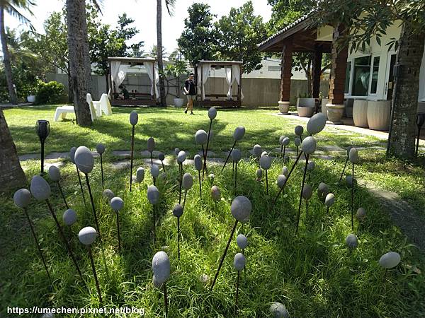 IMG_20200921_114217.jpg IMG_20200921_114217.jpg