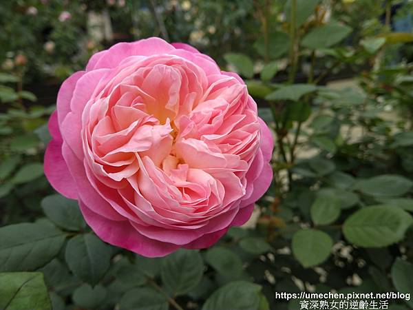 IMG_20210313_154442.jpg IMG_20210313_154442.jpg