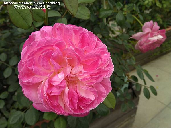 IMG_20210313_154434.jpg IMG_20210313_154434.jpg