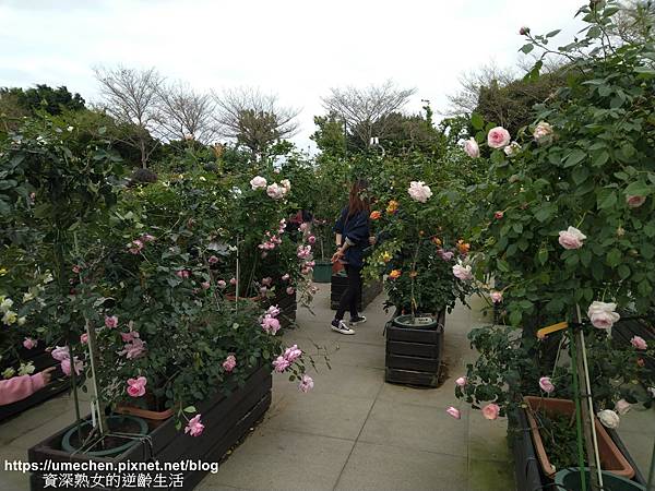 IMG_20210313_154511.jpg IMG_20210313_154511.jpg