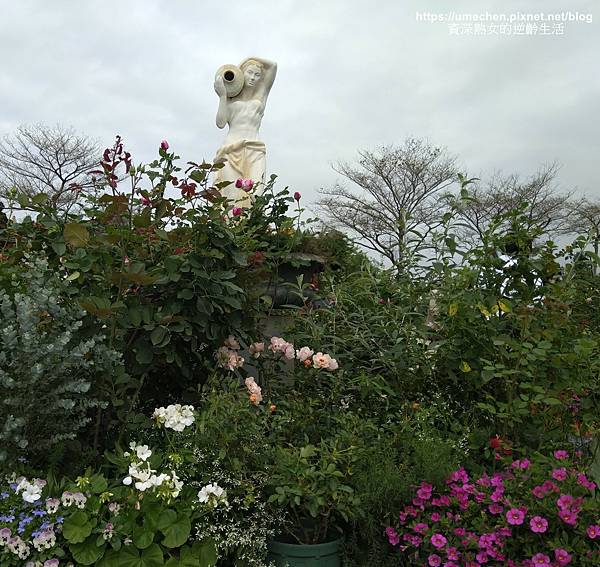 IMG_20210313_155504.jpg IMG_20210313_155504.jpg