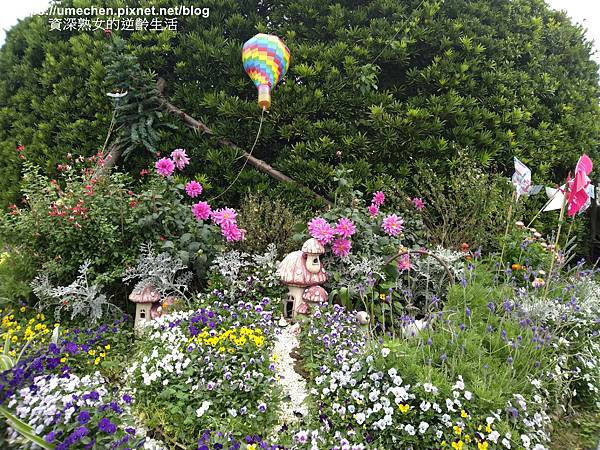 IMG_20210313_155402.jpg IMG_20210313_155402.jpg