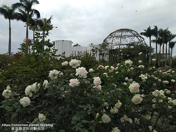 IMG_20210313_160044.jpg IMG_20210313_160044.jpg