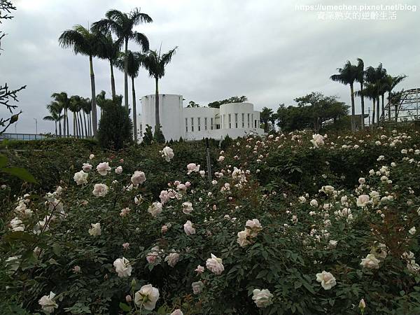 IMG_20210313_155953.jpg IMG_20210313_155953.jpg