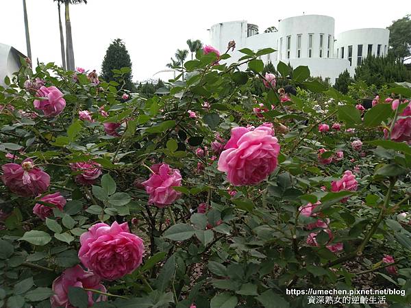 IMG_20210313_160250.jpg IMG_20210313_160250.jpg