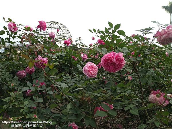 IMG_20210313_160203.jpg IMG_20210313_160203.jpg