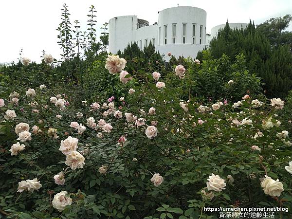 IMG_20210313_160344.jpg IMG_20210313_160344.jpg