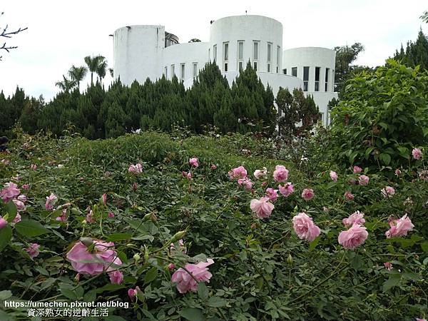 IMG_20210313_160417.jpg IMG_20210313_160417.jpg