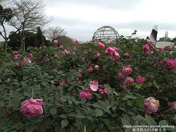 IMG_20210313_160314.jpg IMG_20210313_160314.jpg