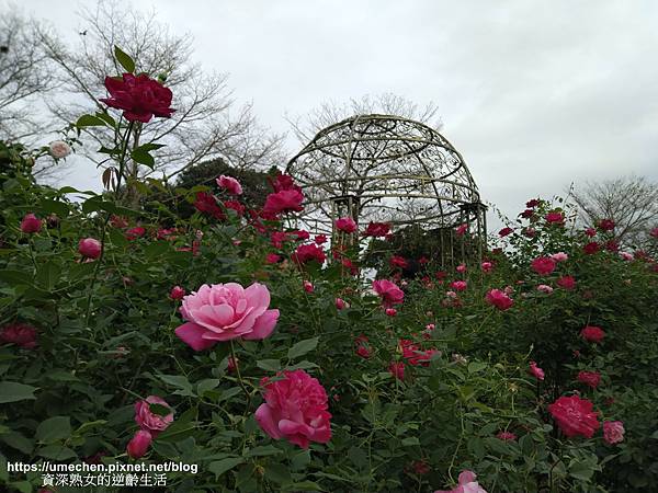 IMG_20210313_160505.jpg IMG_20210313_160505.jpg