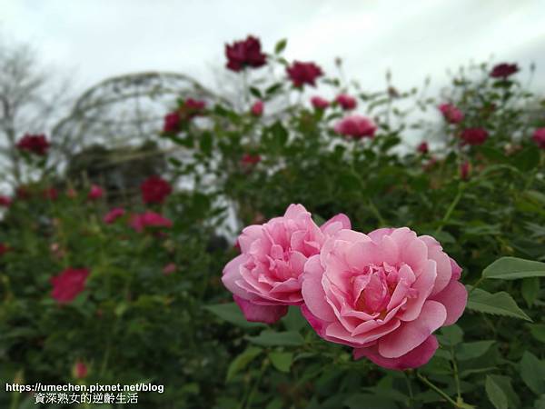 IMG_20210313_160714.jpg IMG_20210313_160714.jpg