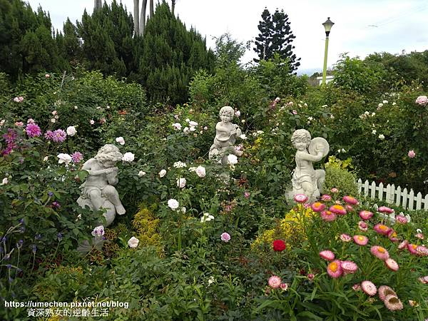 IMG_20210313_161255.jpg IMG_20210313_161255.jpg