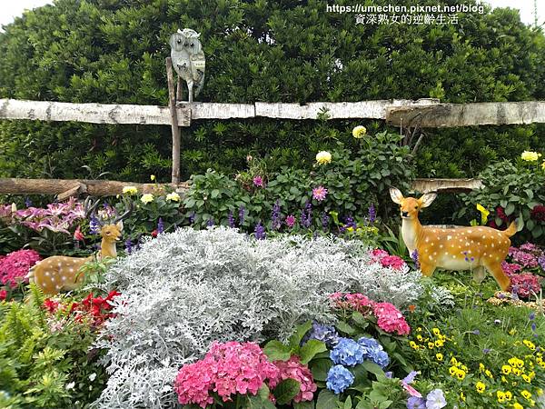 IMG_20210313_160942.jpg IMG_20210313_160942.jpg