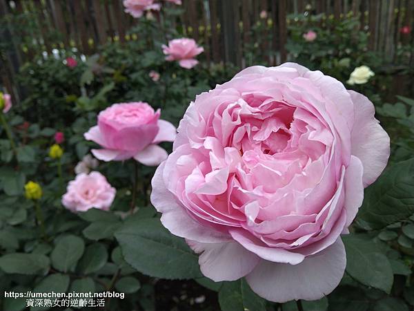 IMG_20210313_163608.jpg IMG_20210313_163608.jpg