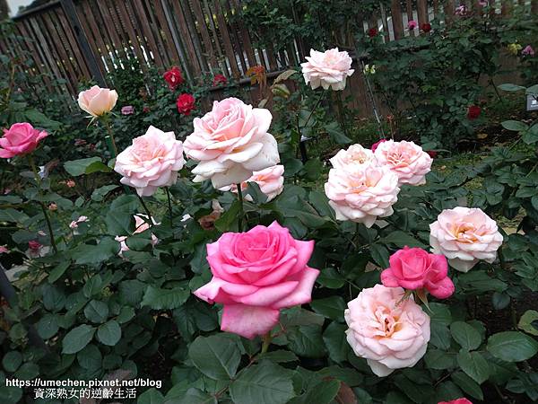 IMG_20210313_163541.jpg IMG_20210313_163541.jpg