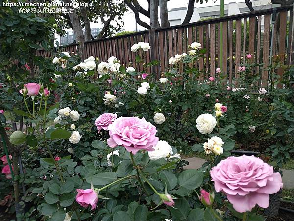 IMG_20210313_163434.jpg IMG_20210313_163434.jpg