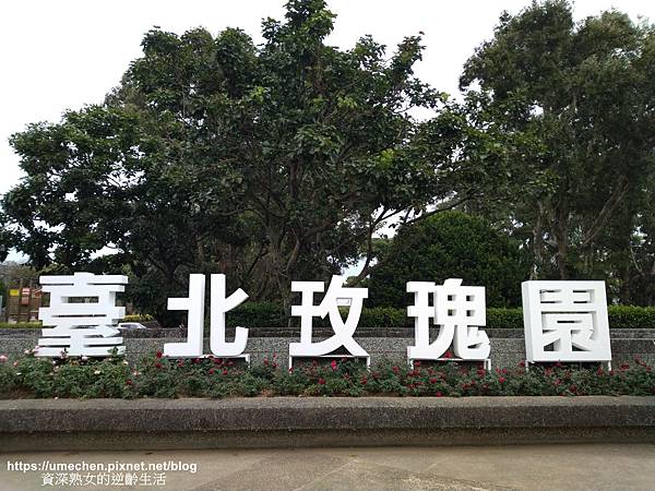 IMG_20210313_170704.jpg IMG_20210313_170704.jpg