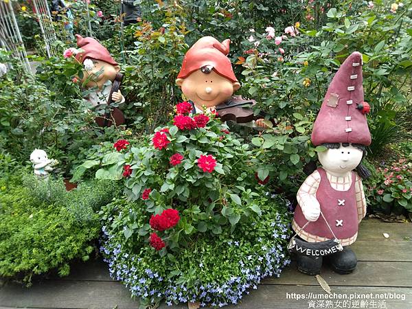 IMG_20210313_164741.jpg IMG_20210313_164741.jpg