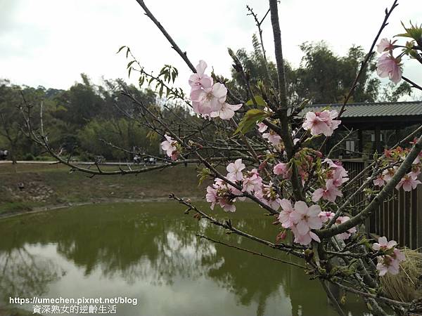 IMG_20210212_134118.jpg IMG_20210212_134118.jpg