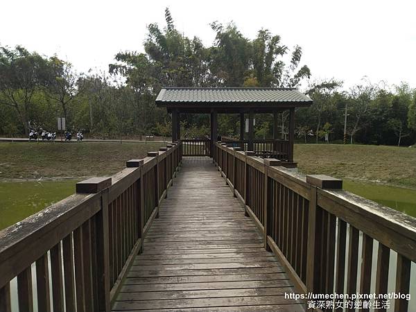 IMG_20210212_134045.jpg IMG_20210212_134045.jpg