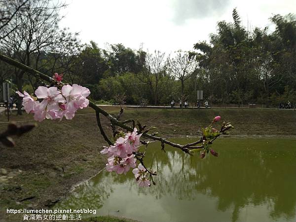 IMG_20210212_134009.jpg IMG_20210212_134009.jpg