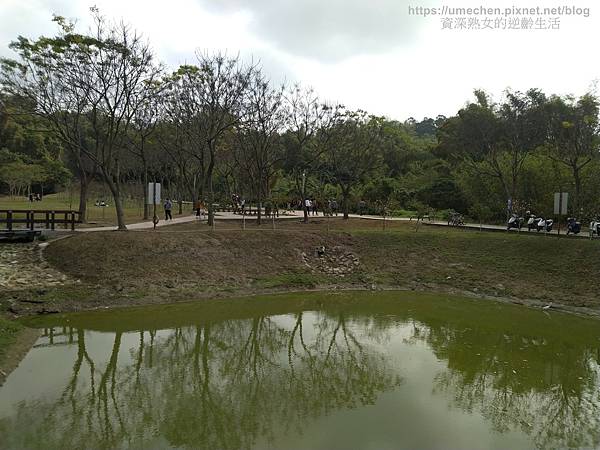 IMG_20210212_134101.jpg IMG_20210212_134101.jpg