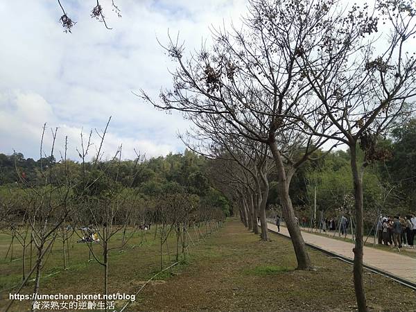 IMG_20210212_134301.jpg IMG_20210212_134301.jpg