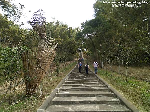 IMG_20210212_134504.jpg IMG_20210212_134504.jpg