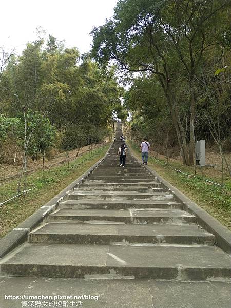 IMG_20210212_134602.jpg IMG_20210212_134602.jpg