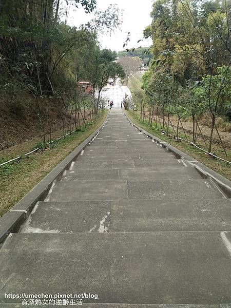 IMG_20210212_134618.jpg IMG_20210212_134618.jpg