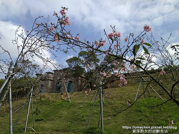 IMG_20210212_135947.jpg IMG_20210212_135947.jpg